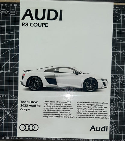 CUADRO DECORATIVO AUDI R8